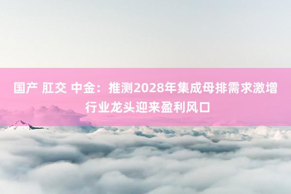 国产 肛交 中金：推测2028年集成母排需求激增 行业龙头迎来盈利风口