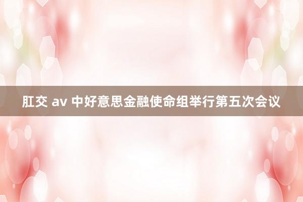 肛交 av 中好意思金融使命组举行第五次会议