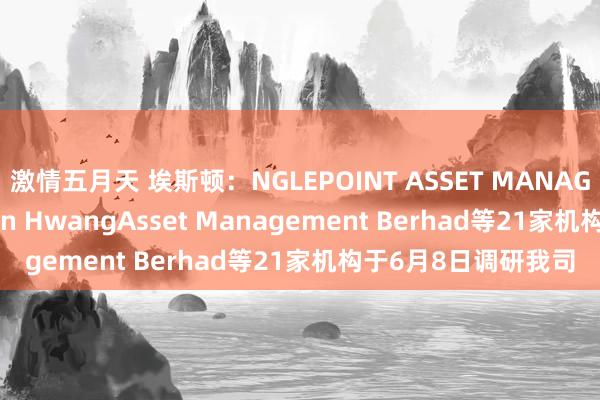 激情五月天 埃斯顿：NGLEPOINT ASSET MANAGEMENT LTD、Affin HwangAsset Management Berhad等21家机构于6月8日调研我司