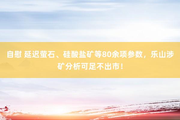 自慰 延迟萤石、硅酸盐矿等80余项参数，乐山涉矿分析可足不出市！